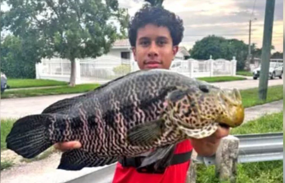 Teen angler catches huge invasive fish, breaks 9-year-old state record
