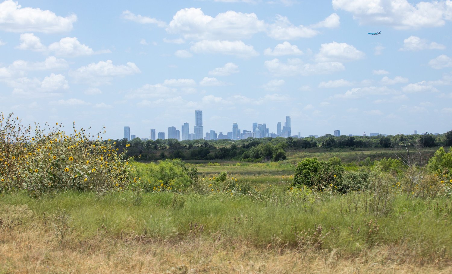 What is Dog’s Head? A guide to Austin’s biggest proposed development