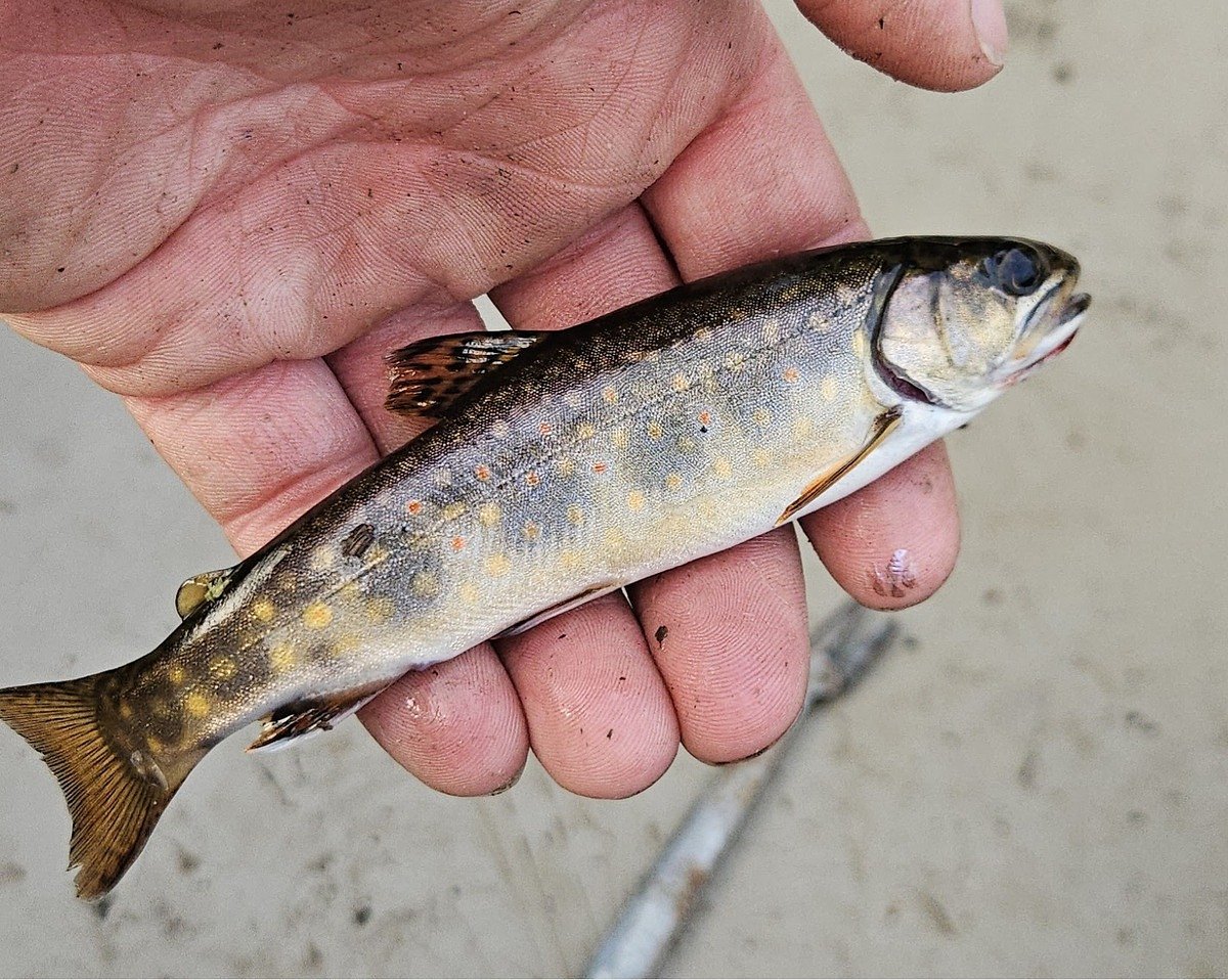 What are Maine’s heritage fish waters?