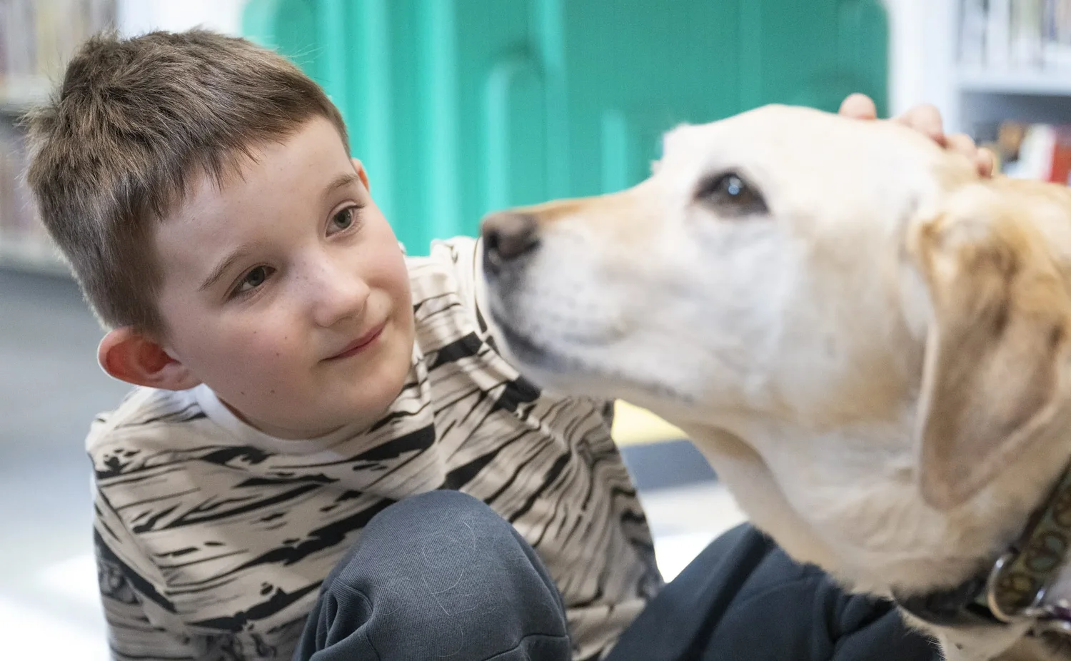 'The tail doesn’t stop wagging': At Forbes Library, Sunny the dog is a paws-itive influence