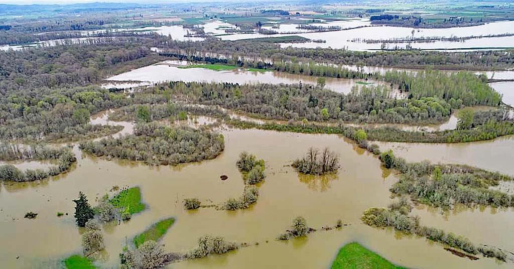 At the confluence of 3 rivers, a floodplain oasis is growing