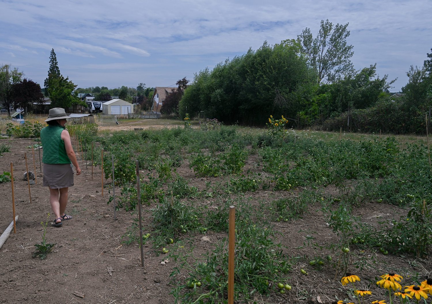 Adapting to arid conditions, local farmers embrace water-resilient practices