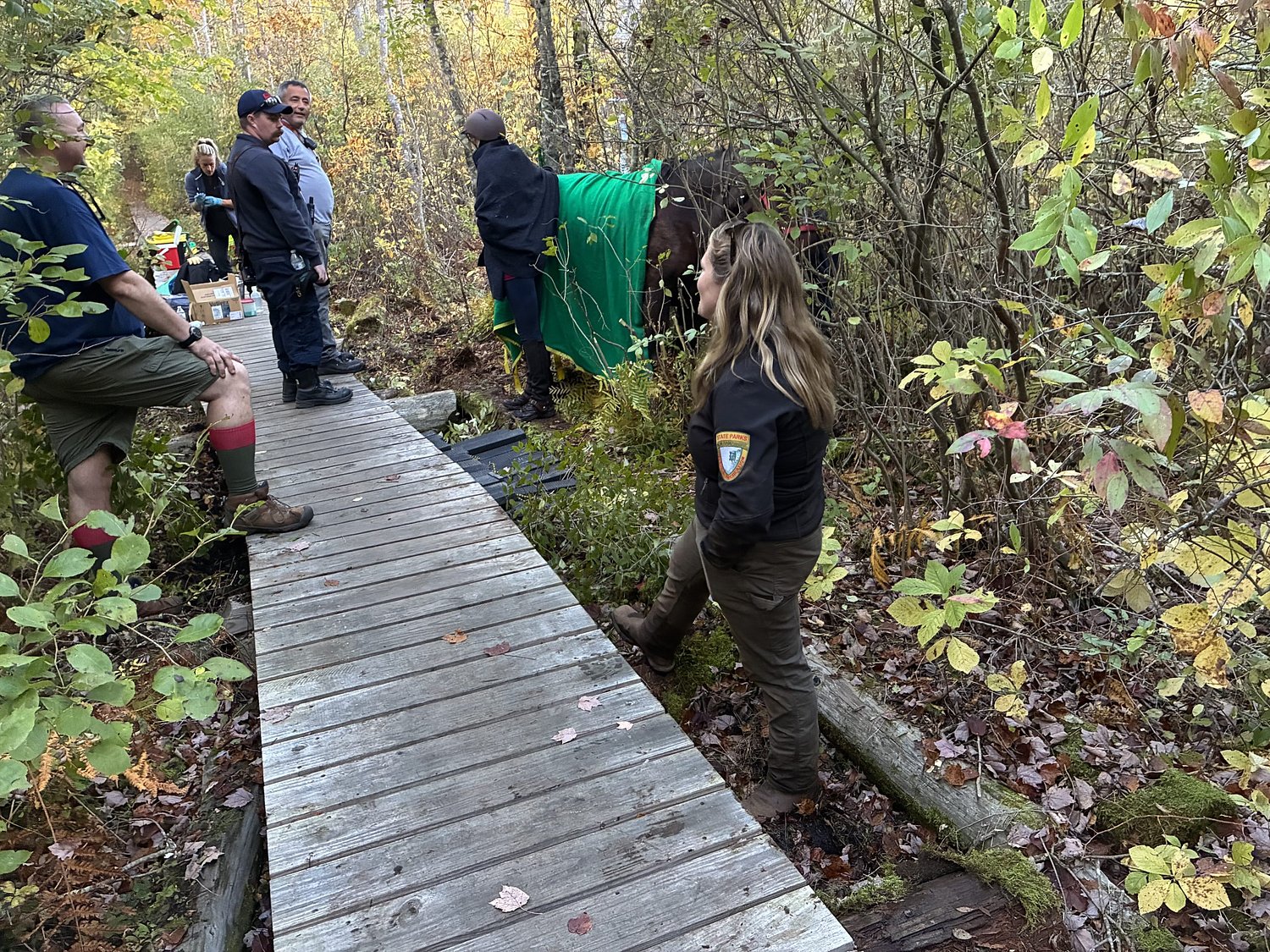 Call a vet, then the authorities, SPCA expert recommends after horse rescued from neck-deep mud at Bear Brook