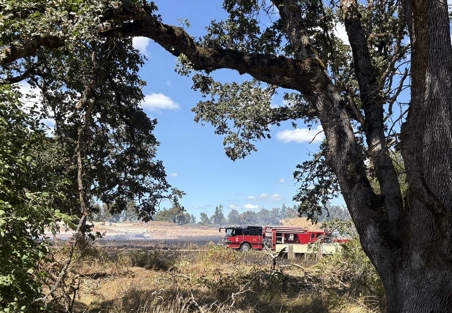 Brush fire near southeast Springfield contained, official says