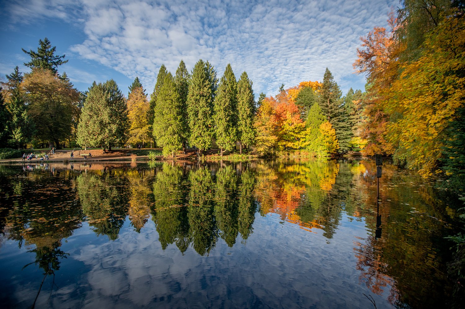 When is the best time to see fall foliage in Oregon? Check our interactive map