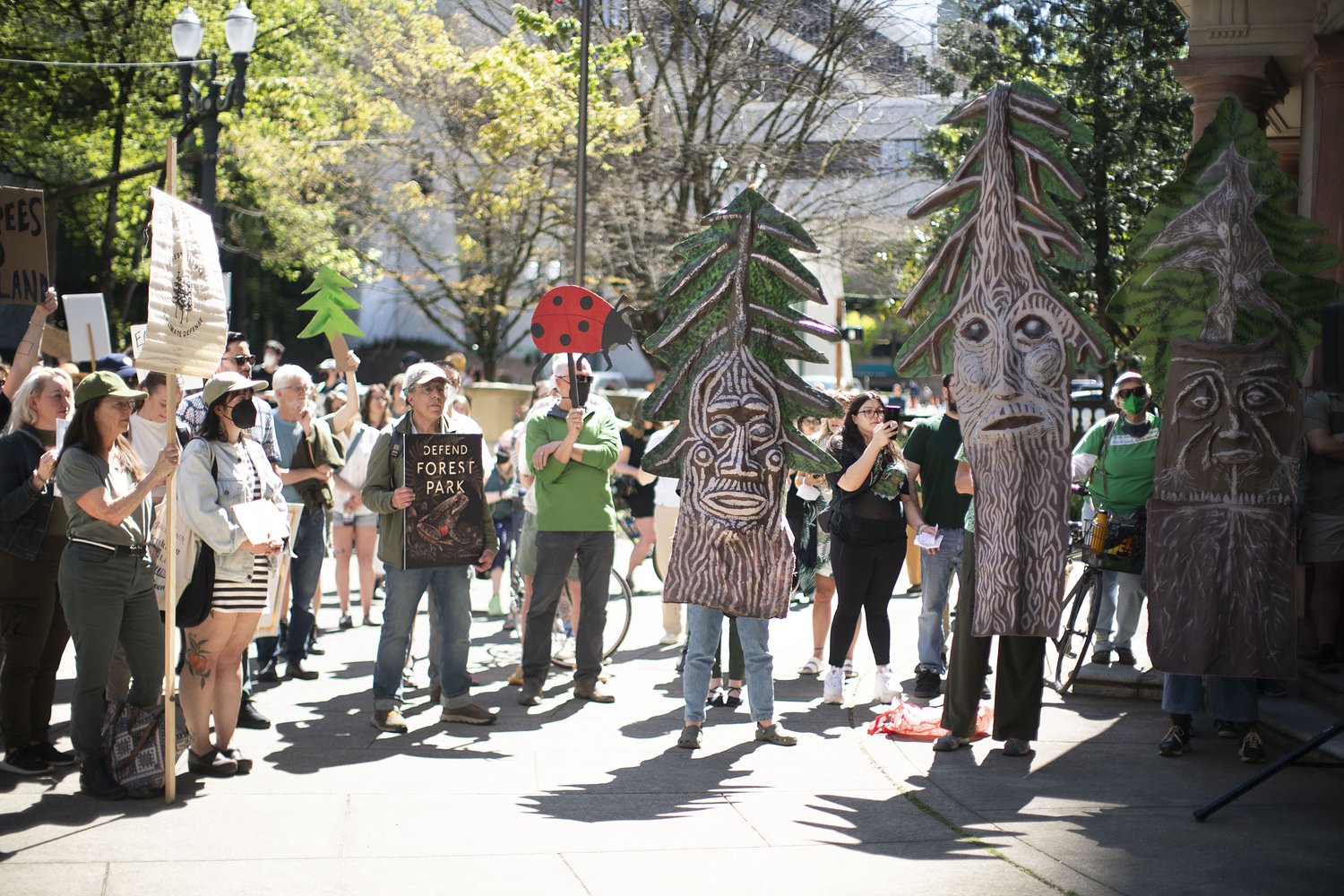 Portland backs PGE plan to cut hundreds of mature Forest Park trees in what critics call a backroom deal