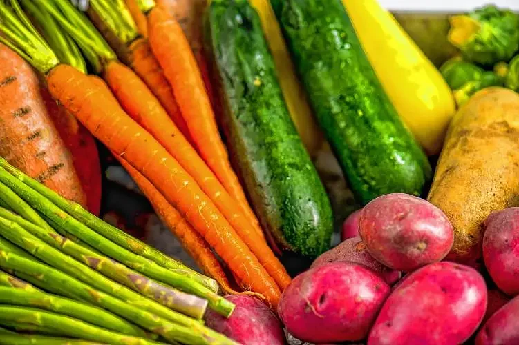 Advocates urge supplemental funding for Massachusetts SNAP caseworkers