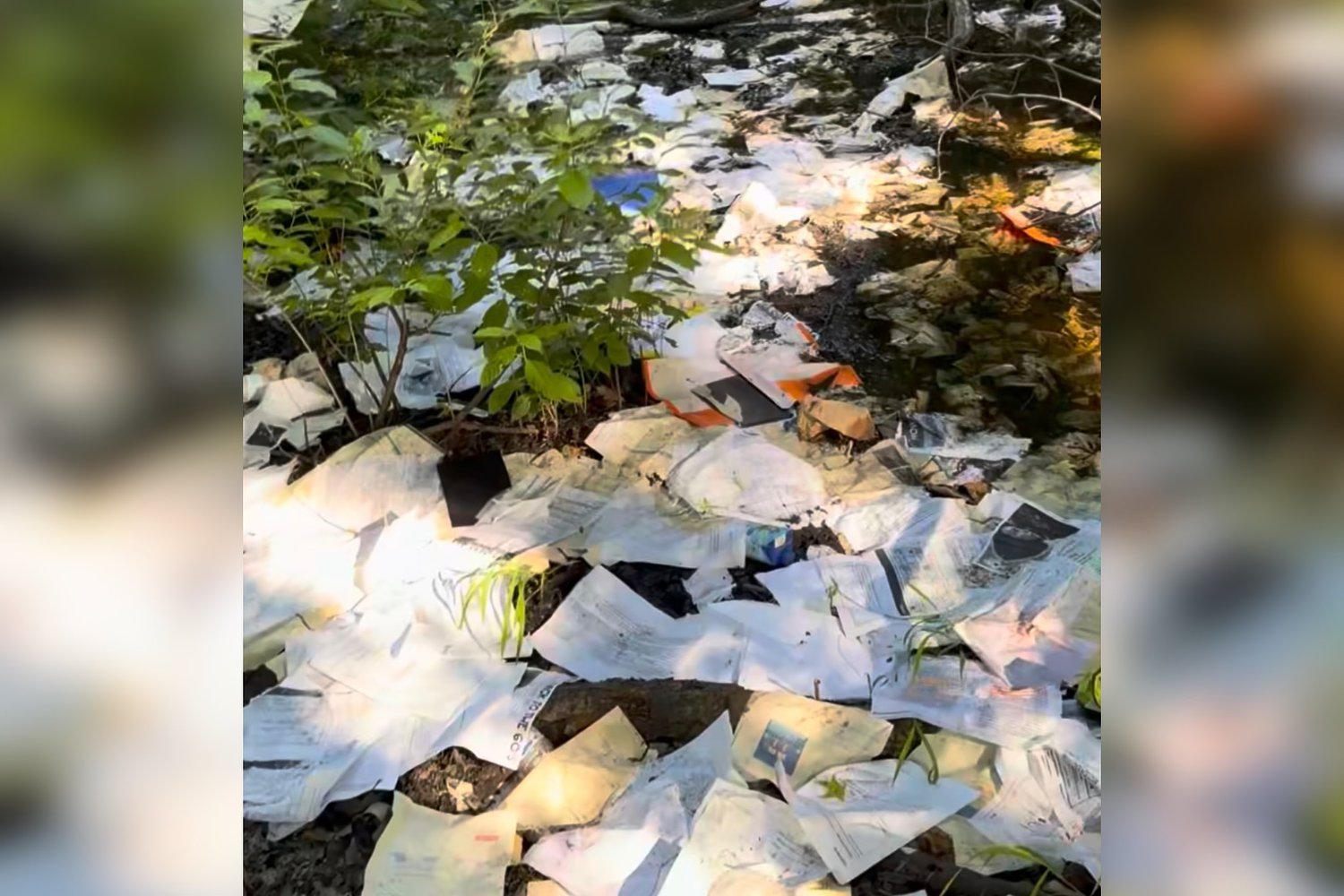Video shows illegal dumping at popular Staten Island park