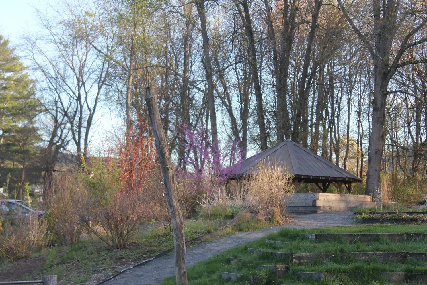 Event explores swapping lawns for meadows: Conway landscape designer to discuss his book, regenerative landscaping at July 25 lecture