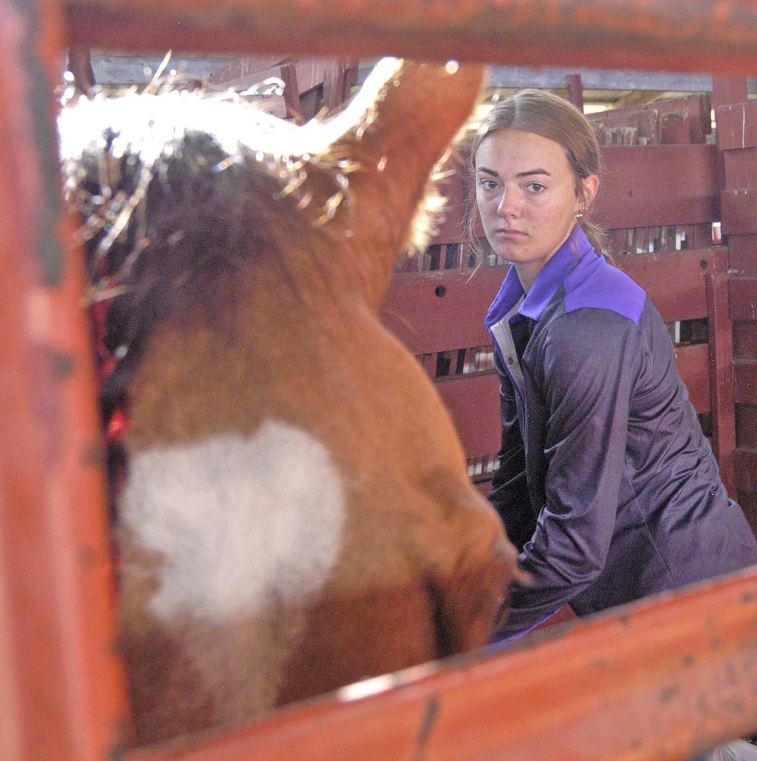 Lee County Fair hosting scavenger hunt to award prize package