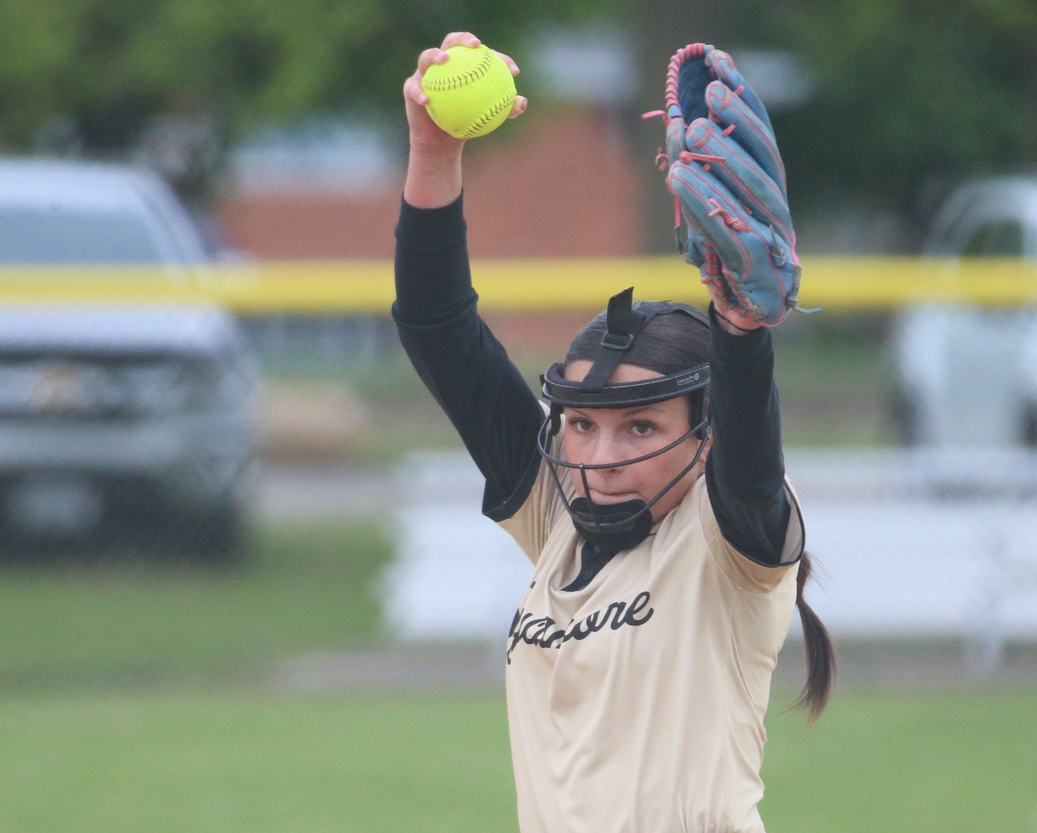 Daily Chronicle 2026 Softball All-Area Team
