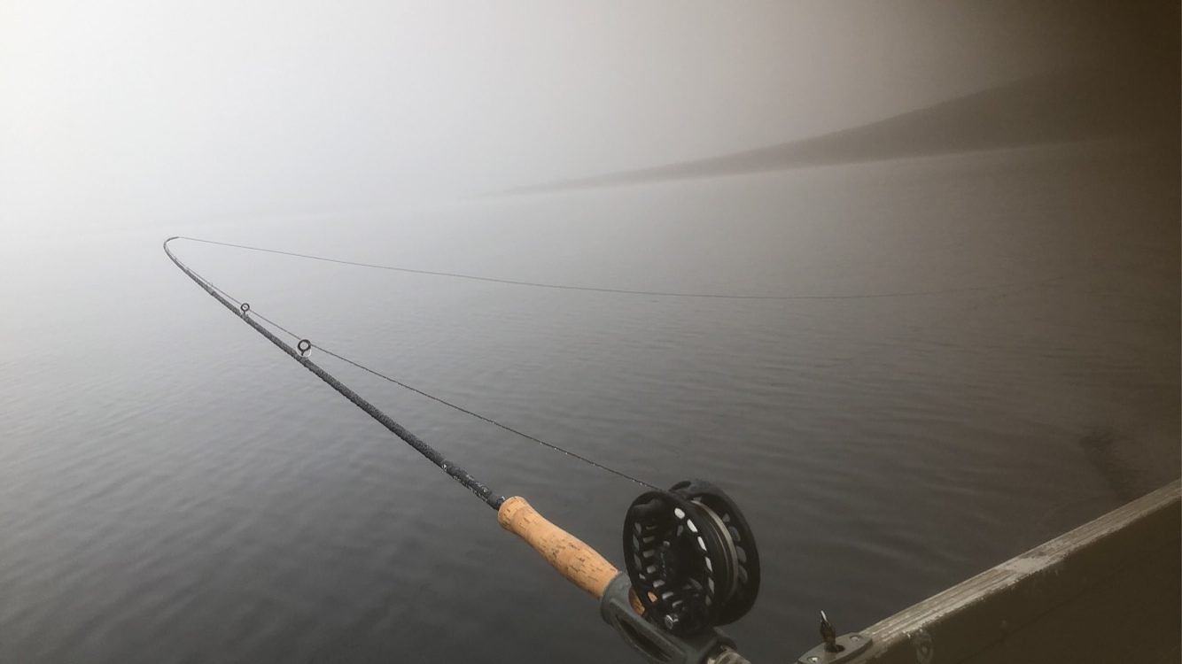 Spring catch & cook