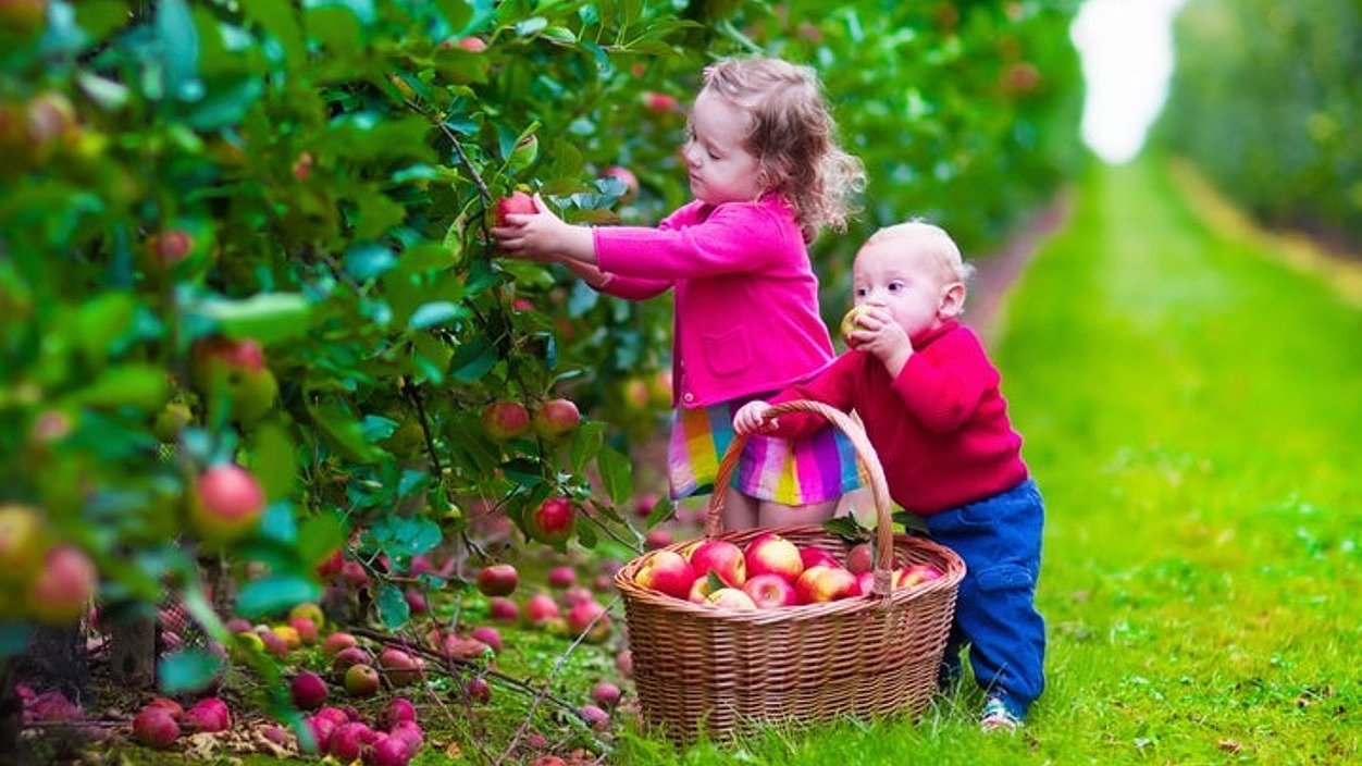 Having trouble getting pregnant? Science suggests: eat organic and regulate the pesticide industry