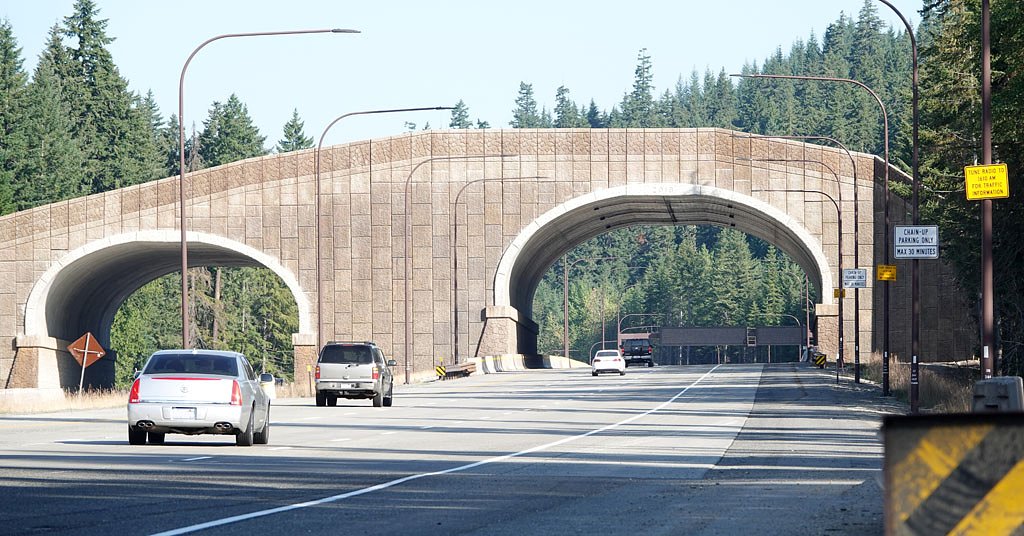 Washington Tribe gets $8.5 million for wildlife overpass