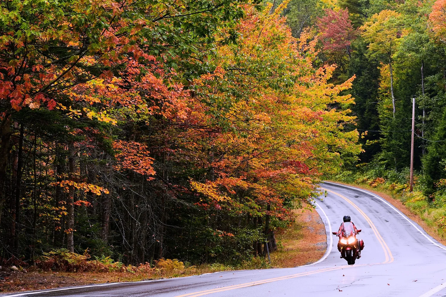 Leaf-peeping season hampered by drought: Fall foliage dropping sooner, showing less color
