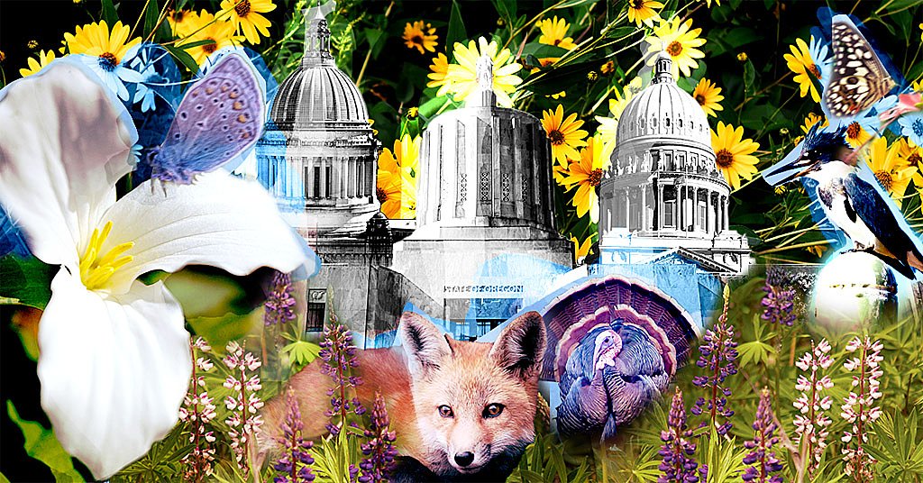 How much does your state spend on wildlife? Not what you think
