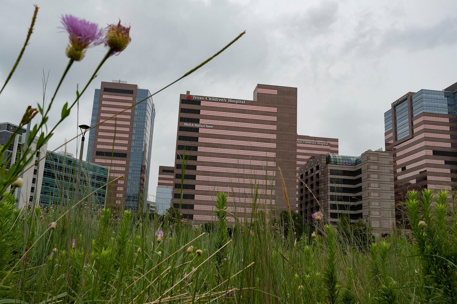 Texas Children’s Hospital’s detransition clinic to launch this year, will include mental health and endocrinology services