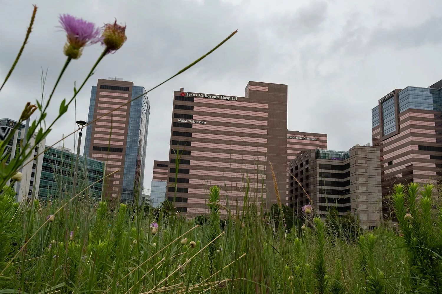 Texas Children’s Hospital’s detransition clinic to launch this year, will include mental health and endocrinology services