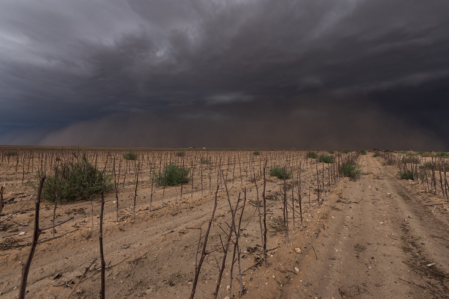 How bad will drought be in Texas? Rio Grande Valley farmers are bracing for the worst.