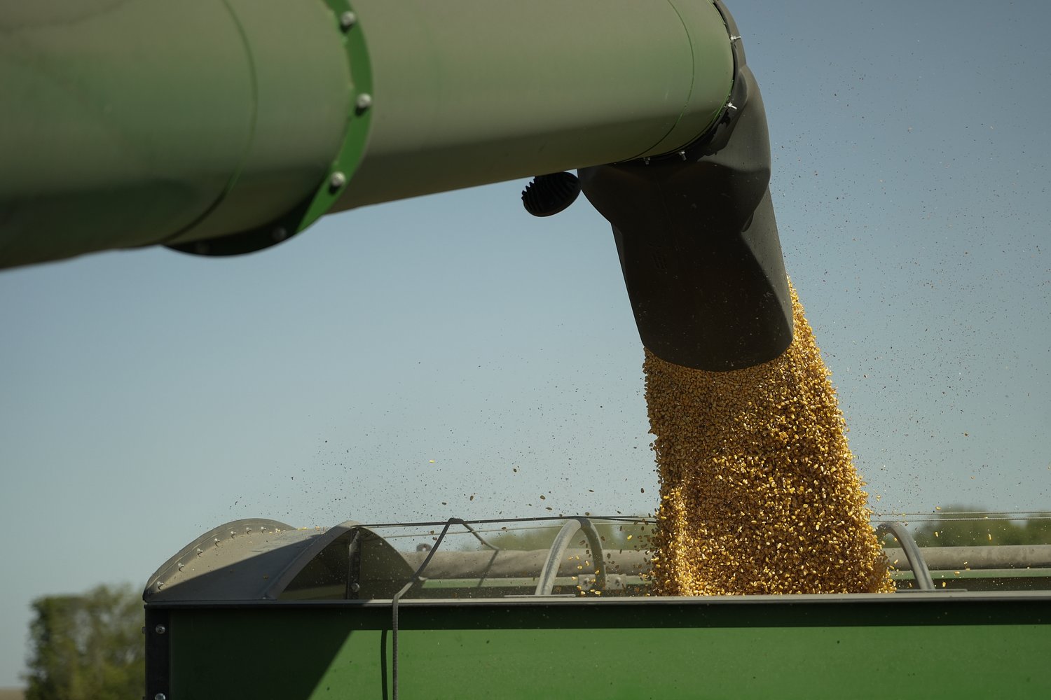 2025 corn crop yield report points to good year for Carroll, Lee Whiteside counties
