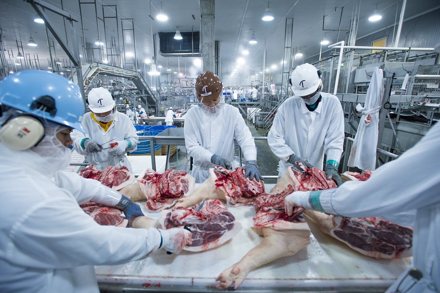 Blood, body parts and bacteria pollute wastewater from meatpacking plants. New rules could help clean it up