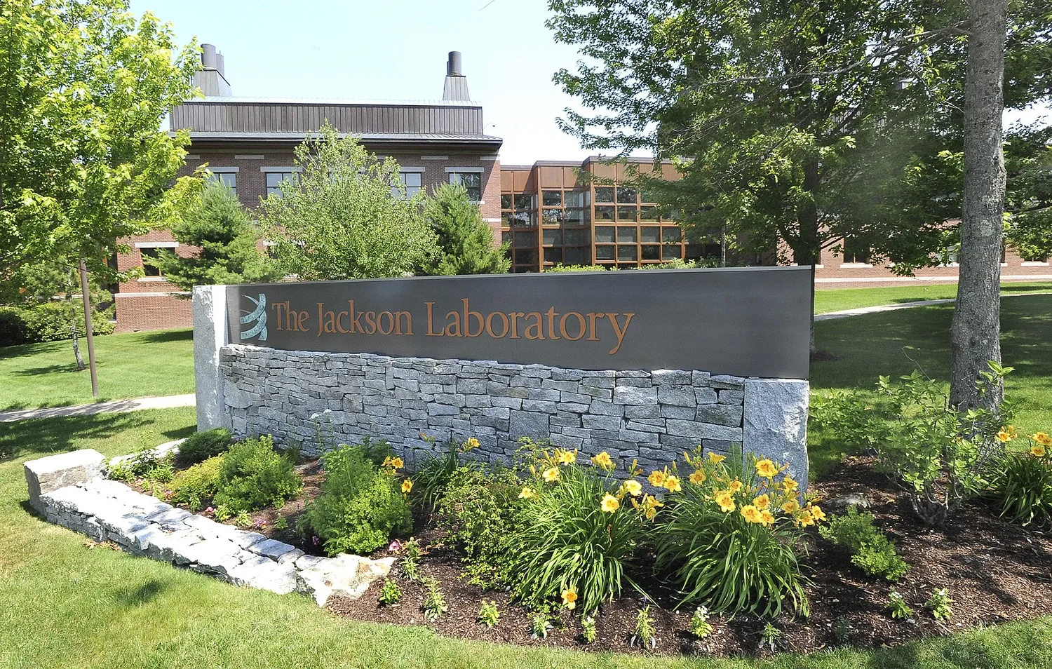 Maine research lab awarded $30M federal grant to model the human heart