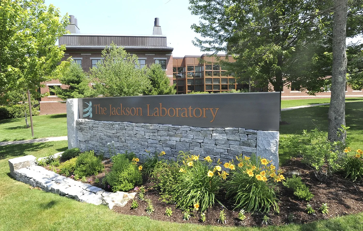 Maine research lab awarded $30M federal grant to model the human heart
