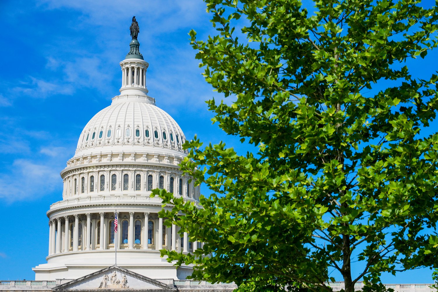 Will Democrats retake Congress in 2026 midterms? New poll reveals stunning numbers