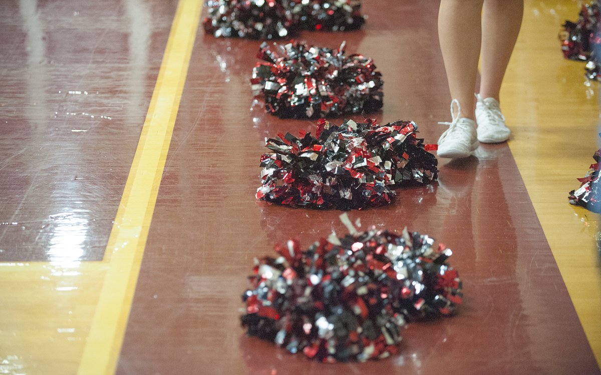 Ellsworth cheerleaders win 4th-straight Class B state title