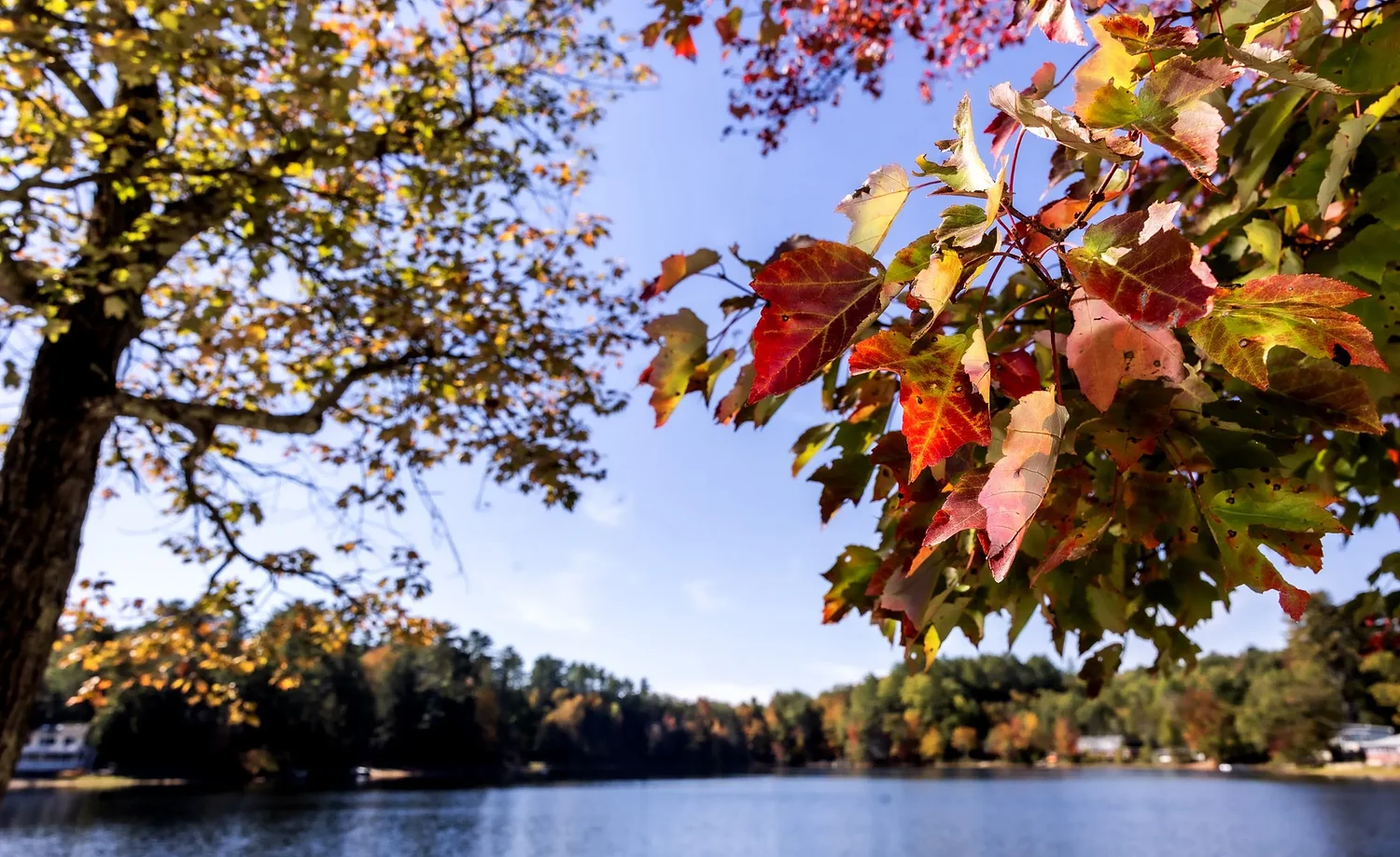 Opinion: We all benefit when we balance open space preservation and housing