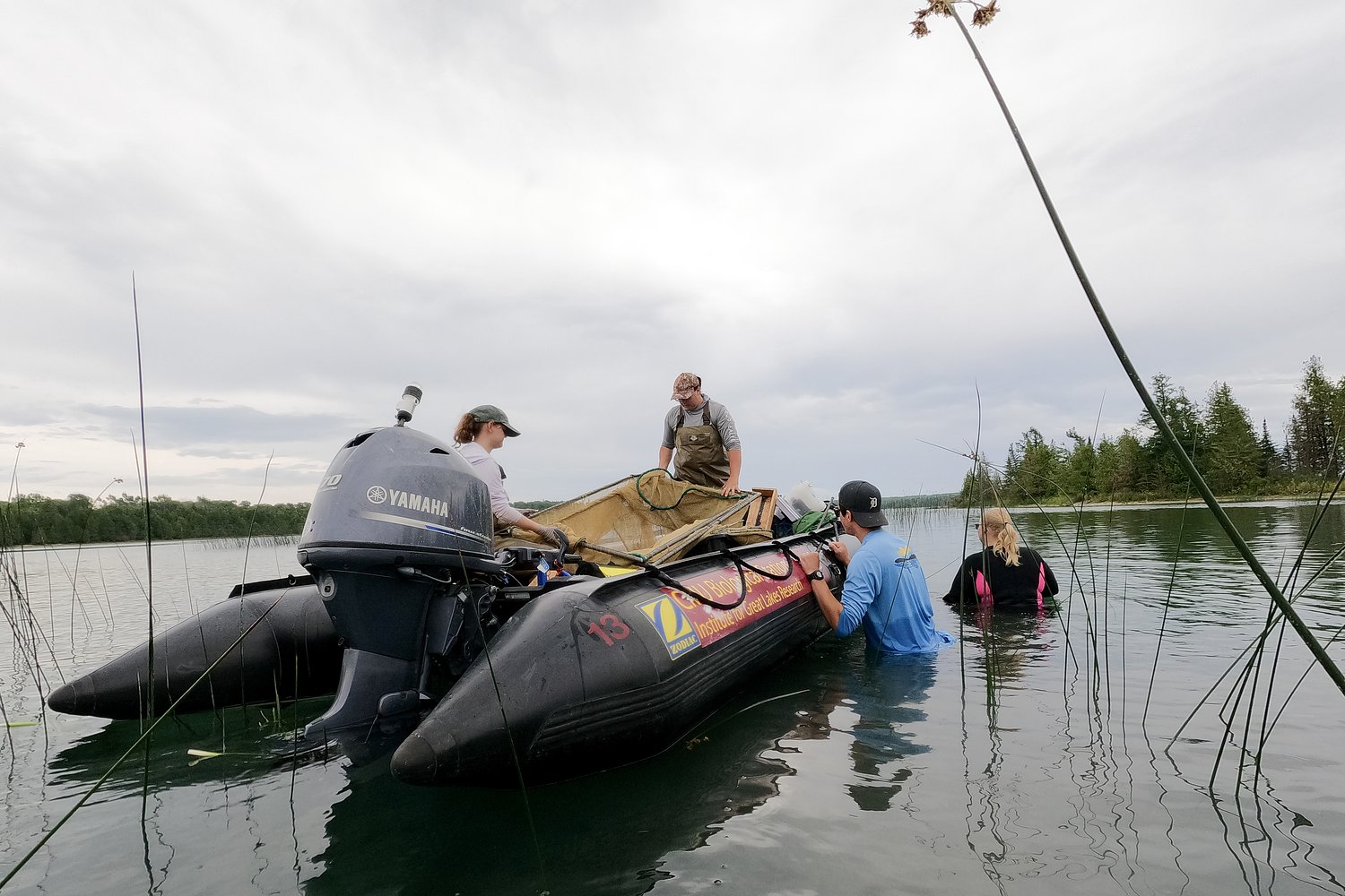 $12M EPA grant keeps Great Lakes wetland monitoring alive