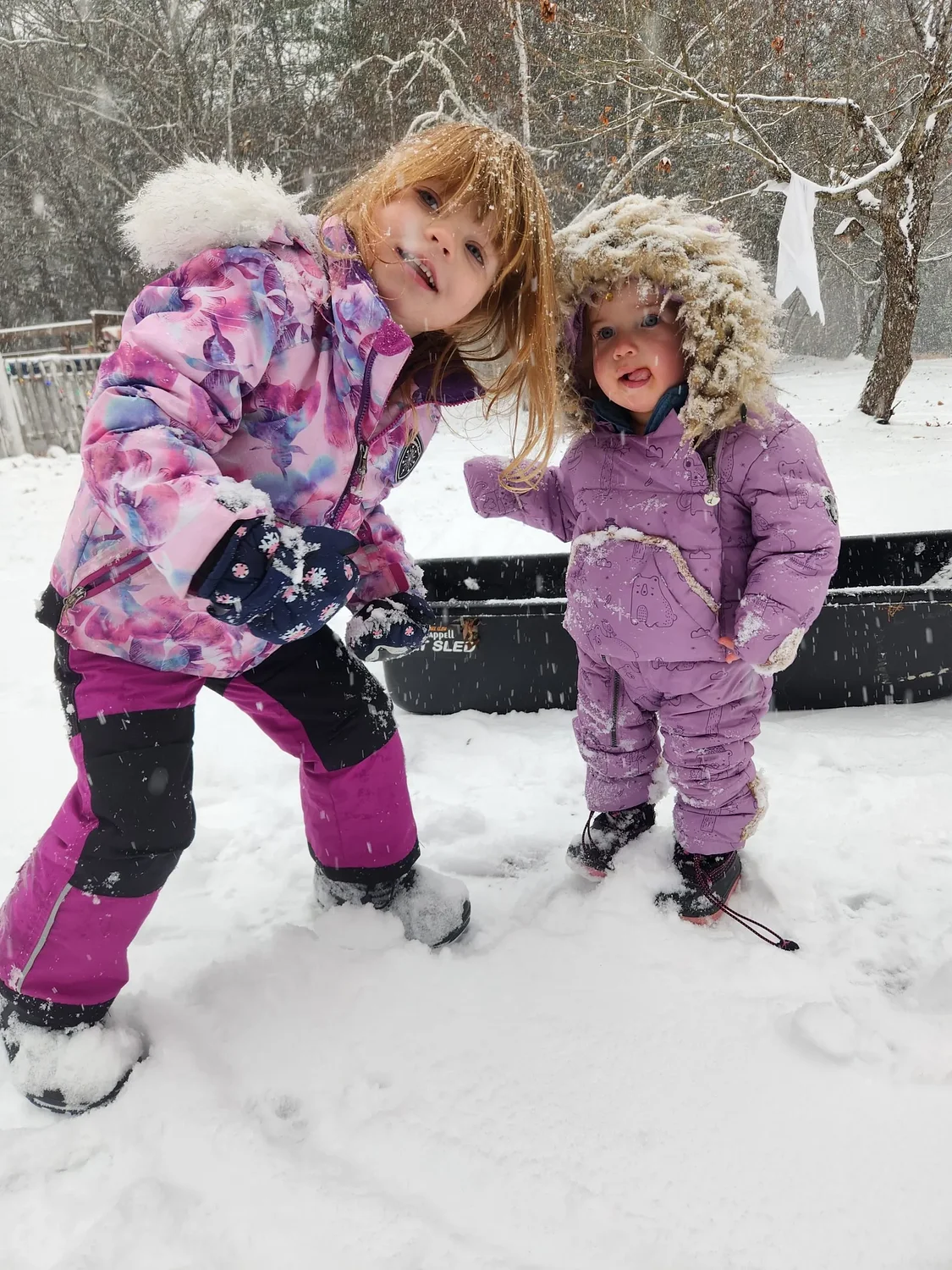 Families and animals enjoy snow day across the region