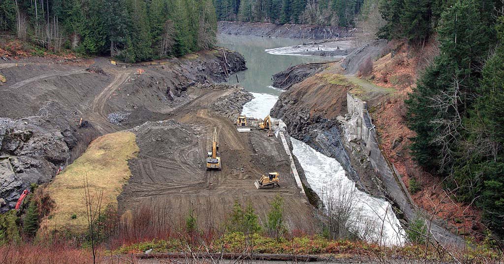 Study: Efforts to save wild salmon are a giant waste of money