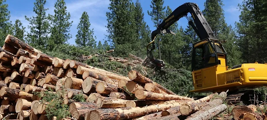 BLM proposes returning some Oregon federal forests to 1960s logging levels