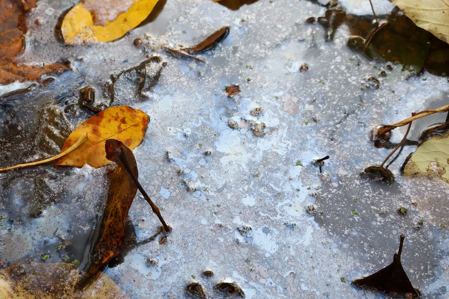 Pollution: A glossary of key terms