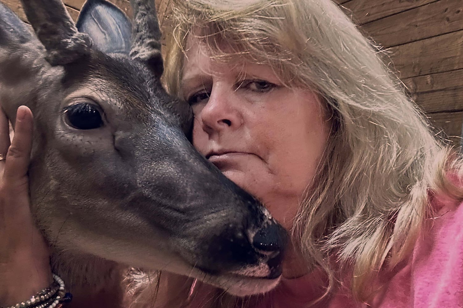 From rescue to courtroom: Lawrence woman faces charges for keeping a deer
