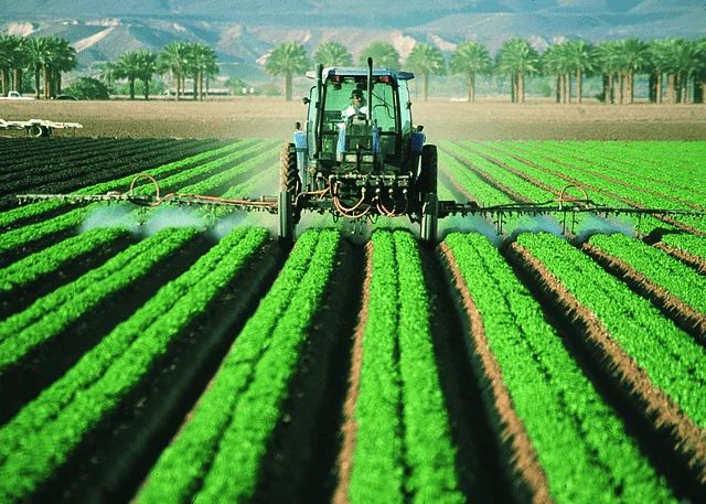 Atrazine, an endocrine-disrupting herbicide banned in Europe, is widely used in the U.S.