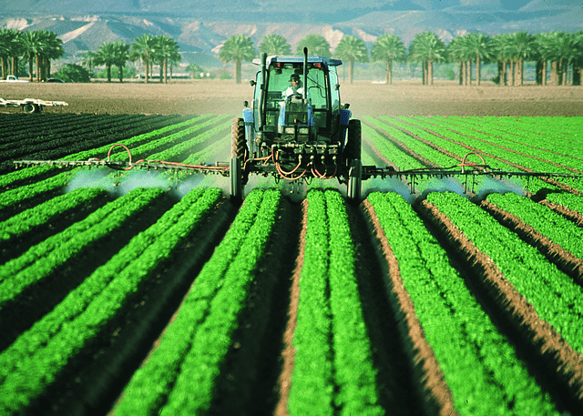 Atrazine, an endocrine-disrupting herbicide banned in Europe, is widely used in the U.S.