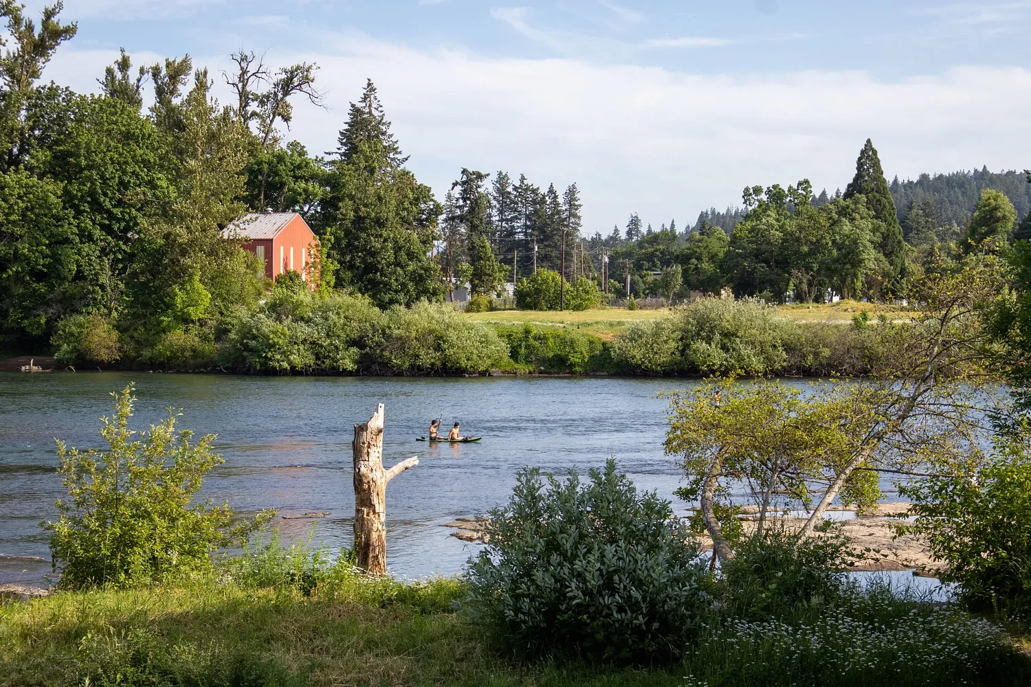 'Real solutions' needed in Eugene's extreme heat
