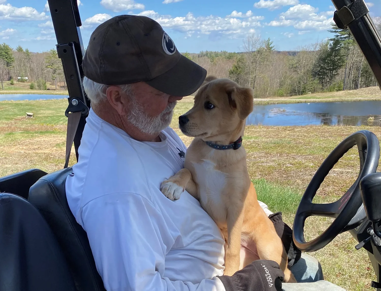 Swift River Retrievers property under conservation restriction