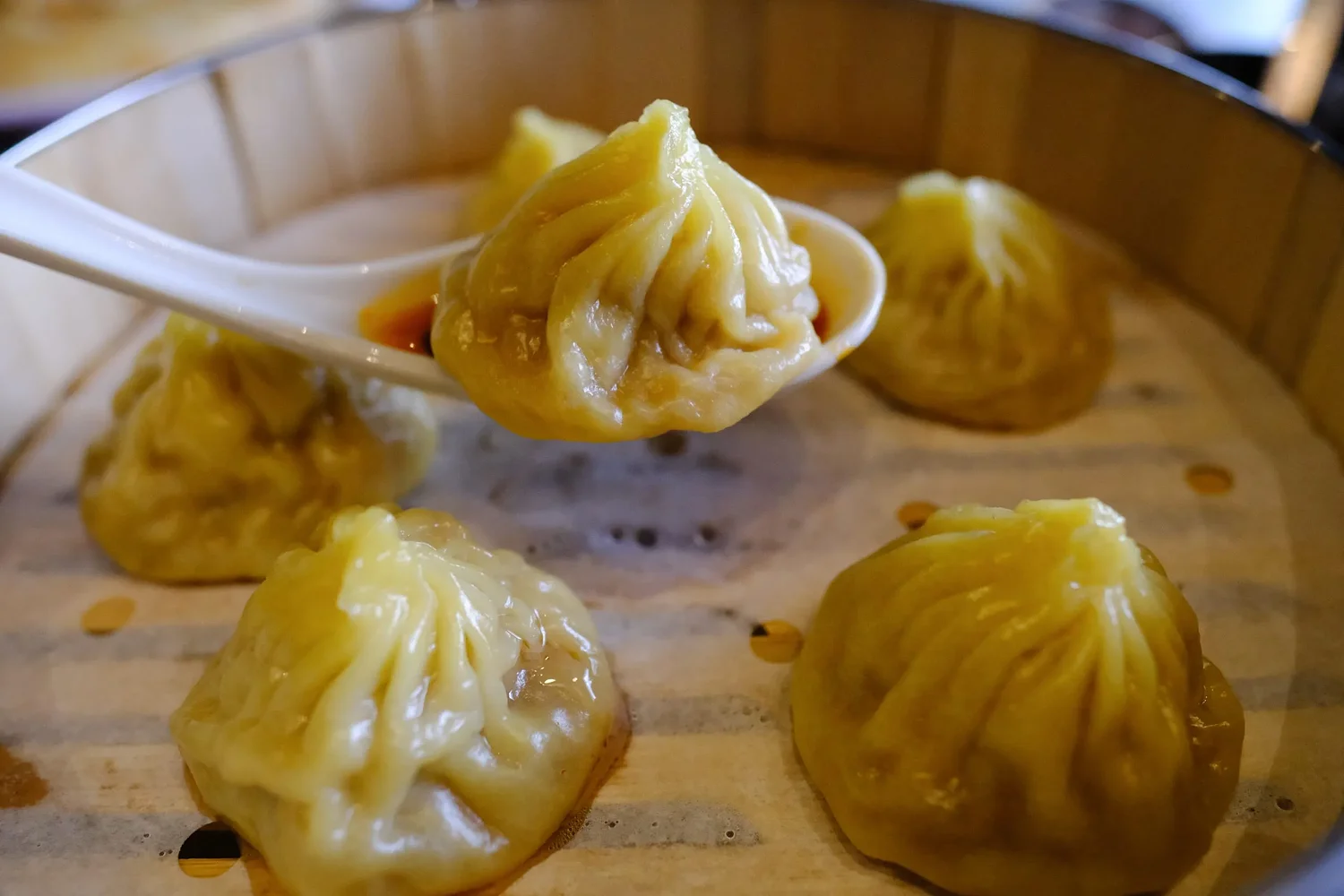 New in Eugene: Try handmade dumplings at Steam & Soul