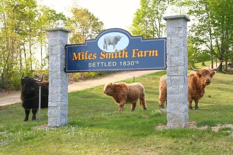 From the Farm: A matter of bad faith