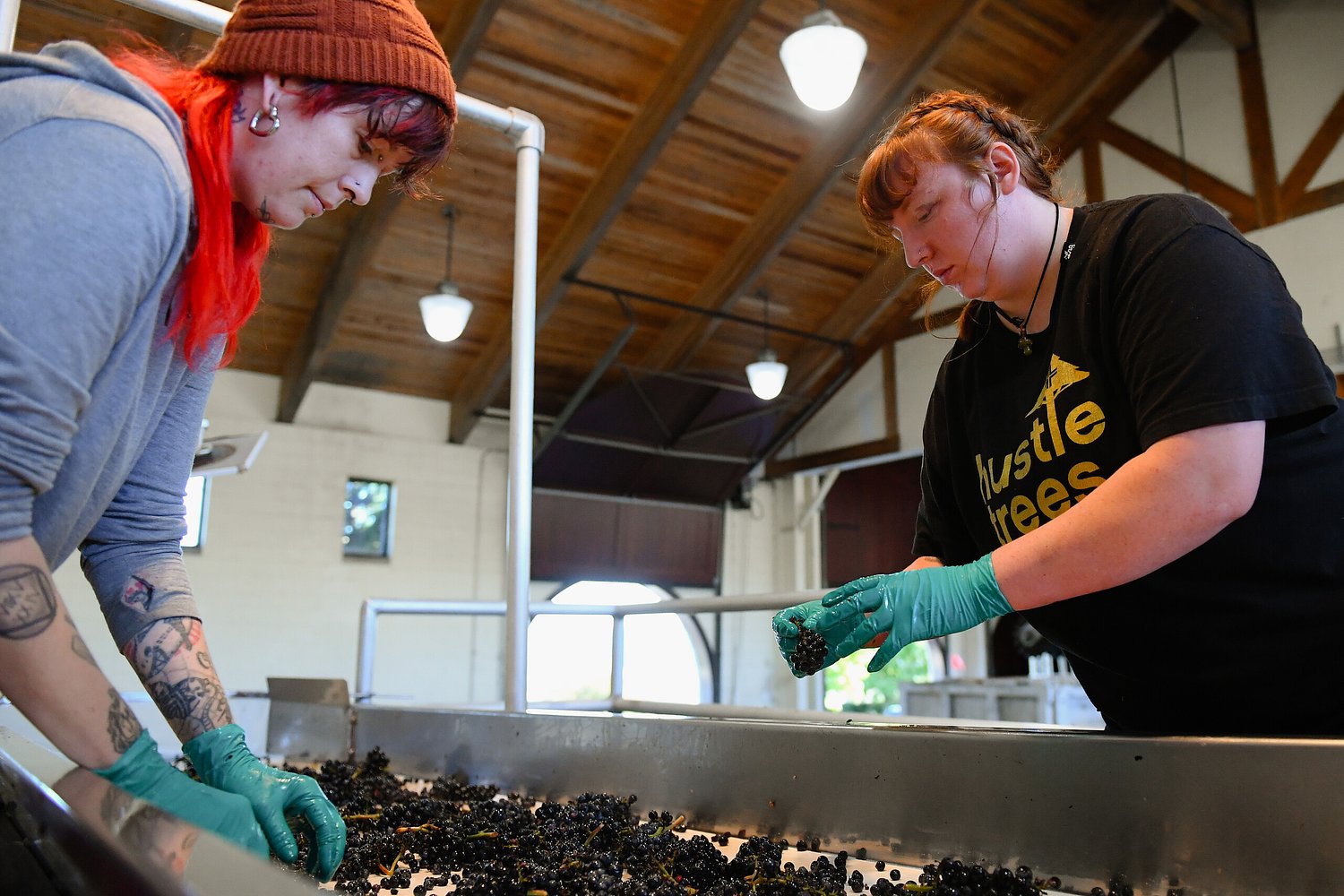 It’s harvest time in the Willamette Valley. Here’s how that looks at King Estate Winery