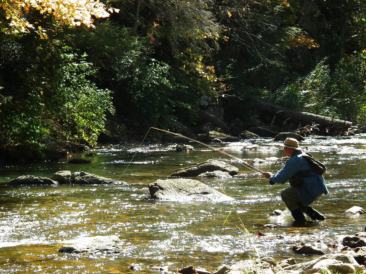 Skip the hatch charts. These 4 dry flies will catch brook trout right now.  