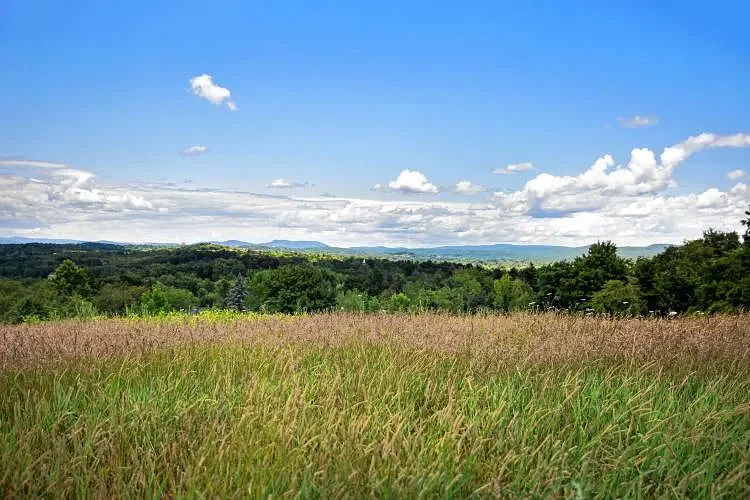 Around Amherst: Mount Pollux Conservation Area gets accessibility upgrades