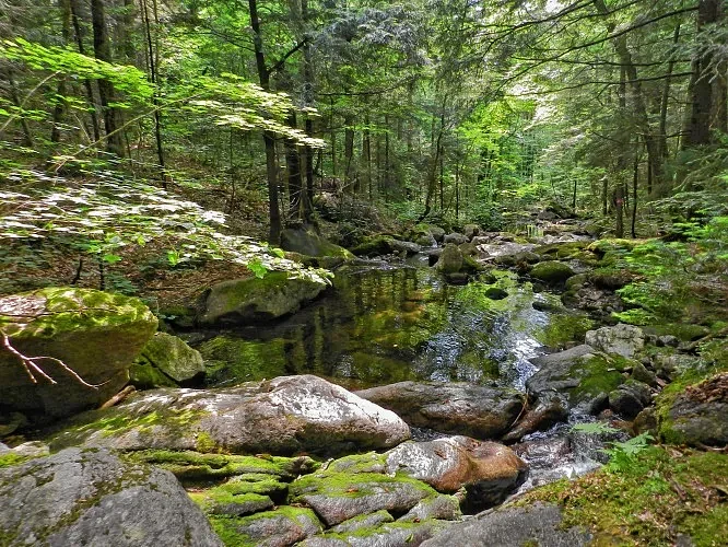Opinion: Save what makes our state great