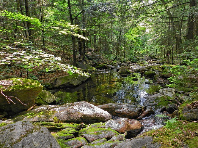 Opinion: Save what makes our state great