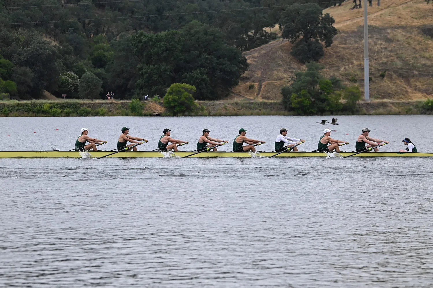 Dartmouth Roundup: Rowing sees best finish since '22