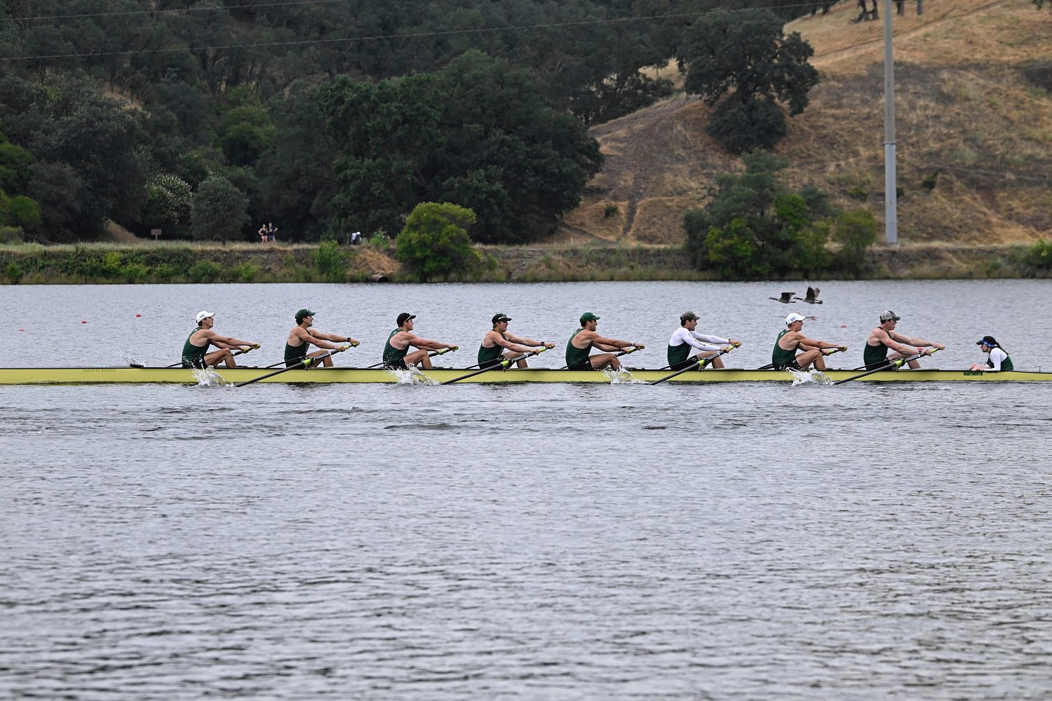 Dartmouth Roundup: Rowing sees best finish since '22