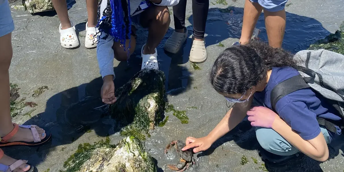 City Of Seattle Awards Nearly $1 Million To Support Environmental Justice Projects